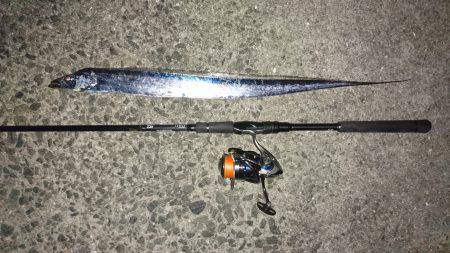 西宮浜タチウオ