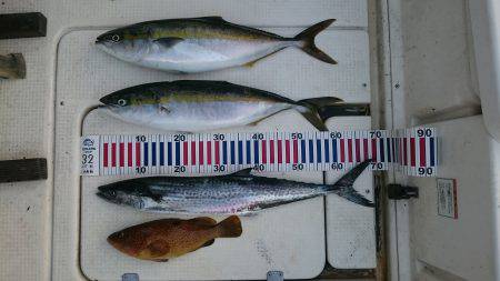 ジギング&タイラバ