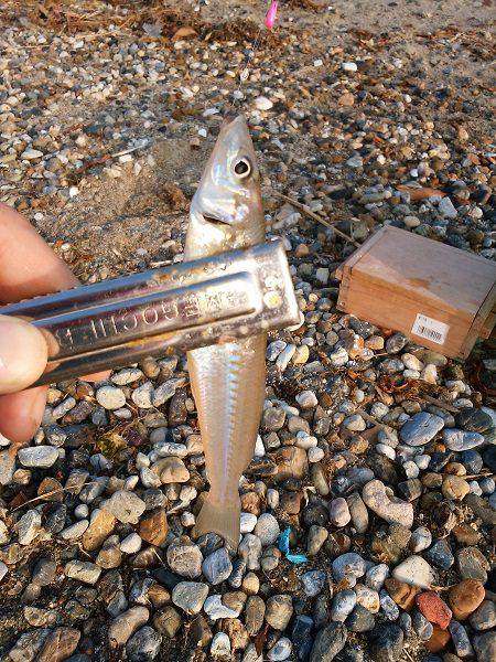 キスはどこへ…？