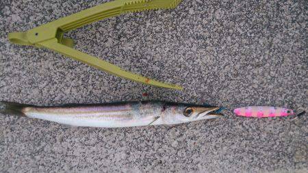 ゆうまづめ狙い