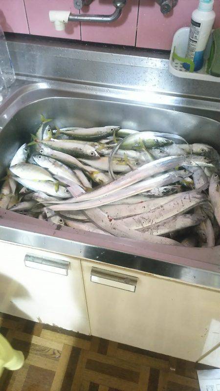 大漁❗大漁❗サバ・メッキ・太刀魚