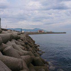 淡路島太刀魚調査