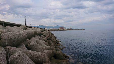 淡路島太刀魚調査