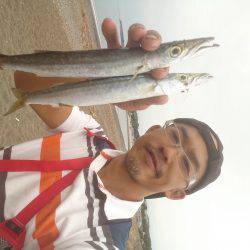 メタルマルがハマりました。