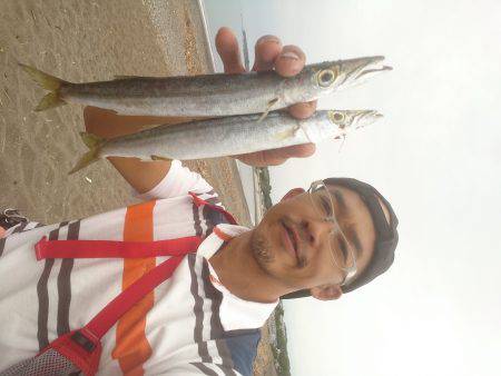 メタルマルがハマりました。