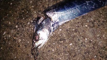 あわせ下手くそ！