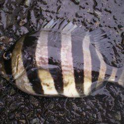 台風が来る前に