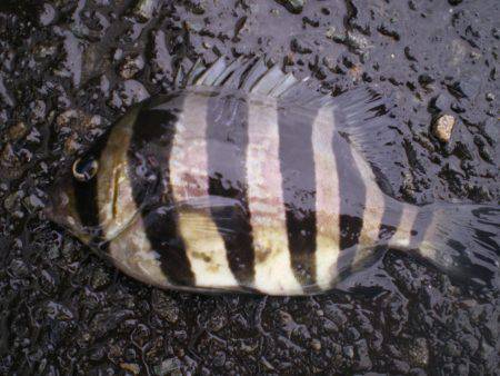 台風が来る前に