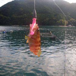 オオモンハタ遠征