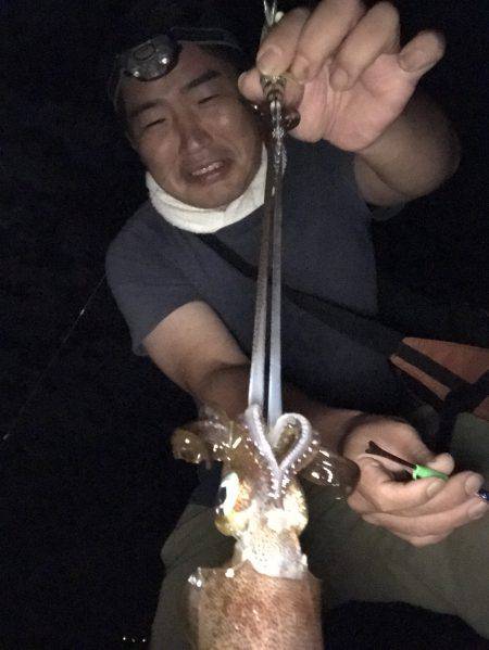 キャップテン&アオリイカ