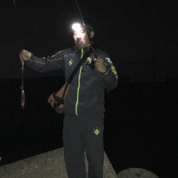 キャップテン&ケンサキイカ