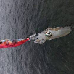 先週の台風の影響？