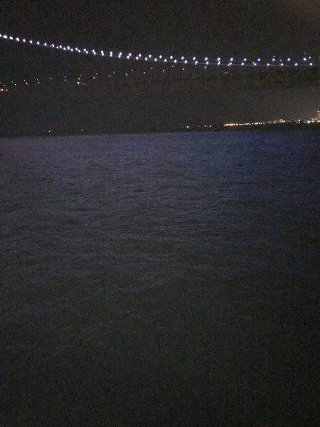 イカの数釣り求めて