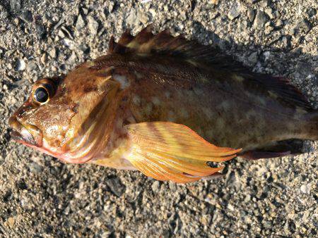 飽きのこない程度に…。