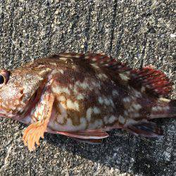 場所が変われば…。