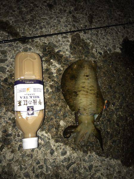 深夜からのランガン