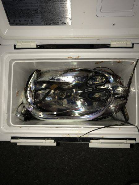 日本で1番タチウオを釣り上げた男。(仮)