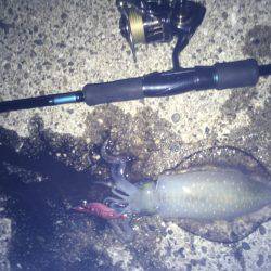 牛ヶ首からの泉南