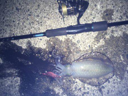 牛ヶ首からの泉南