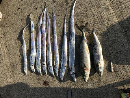 サゴシを愛し愛された男。