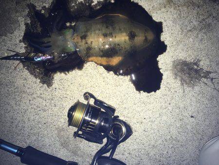 台風後の様子見