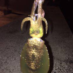 台風の影響なのか、、、、。