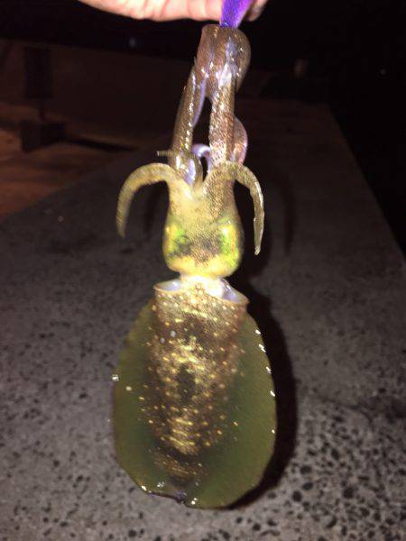 台風の影響なのか、、、、。