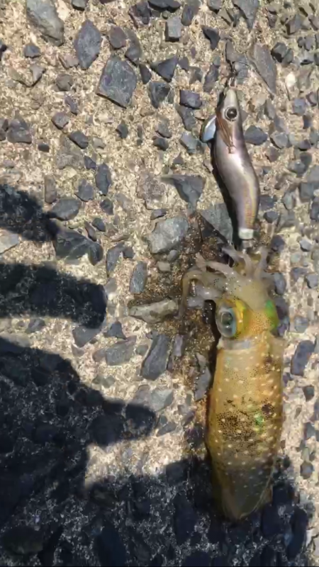 少しずつ成長してる…？？？