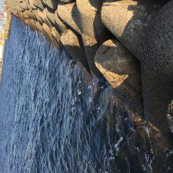 波止フカセ釣り