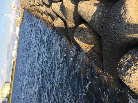 波止フカセ釣り