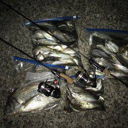 アジング釣行記