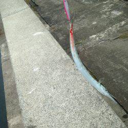 ショアジギング