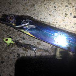 タチウオ引き釣り