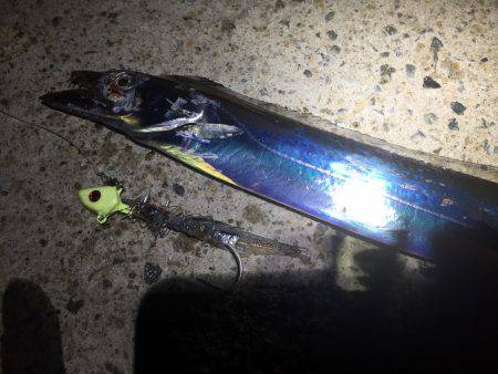 タチウオ引き釣り