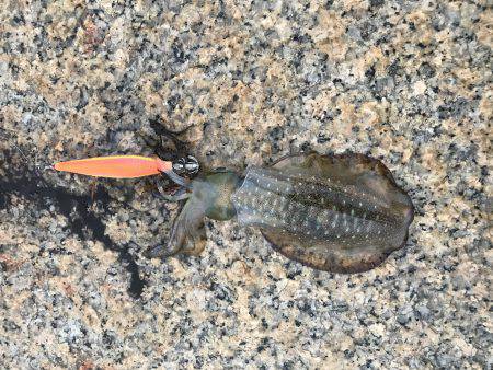天気予報より風強い‼︎ 雨