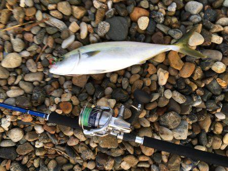 青物ショアジギング