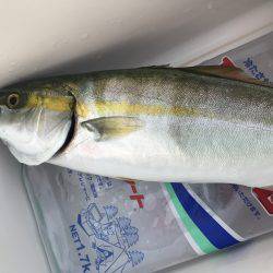 1時間のために。