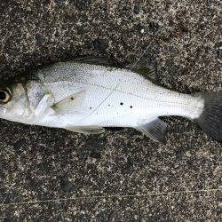 メッキはどこへ？