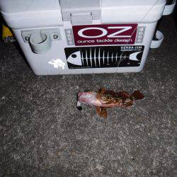 ガジリングにはまってます‼️