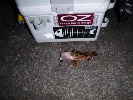 ガジリングにはまってます‼️