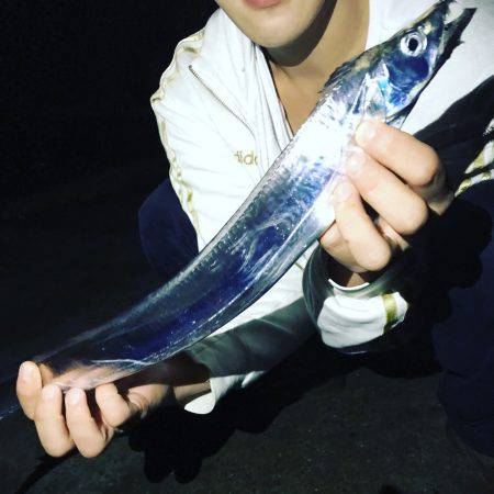 青物釣りたかった、、、