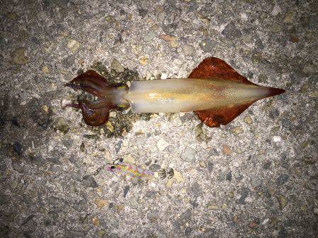 二夜連続チャレンジ