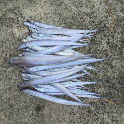 びっくりです。