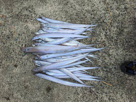 びっくりです。