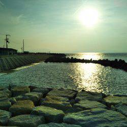 サビキ釣りです。