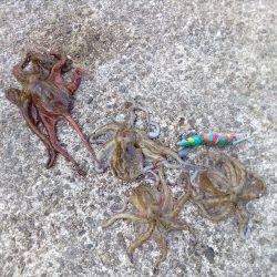 お父さんお母さんを連れてきて！