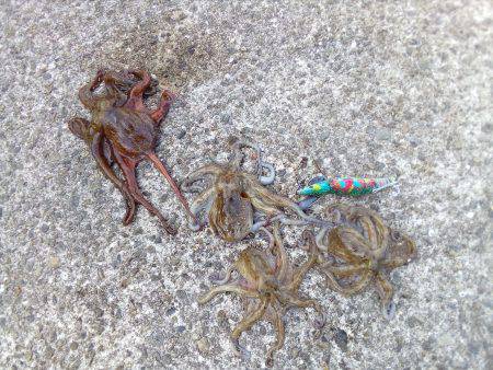 お父さんお母さんを連れてきて！