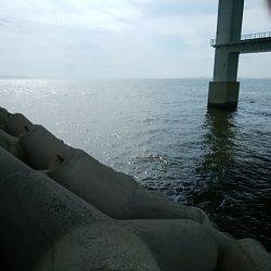 ジグサビキ　ワインド