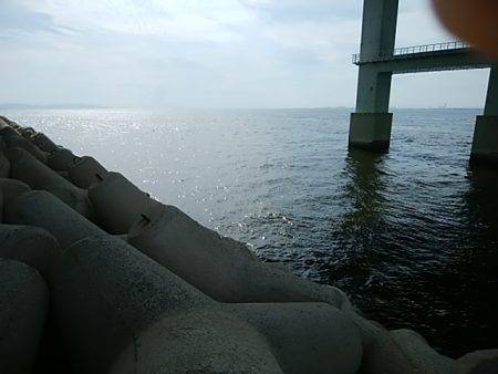 ジグサビキ　ワインド