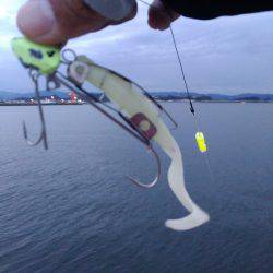 こいつも牙一族なのか